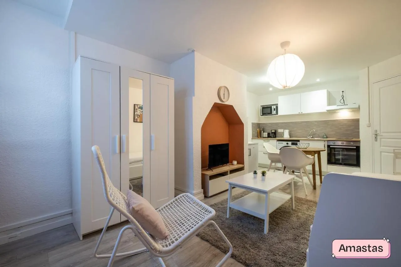 Cosy New Studio In Central Toulouse Frankrijk